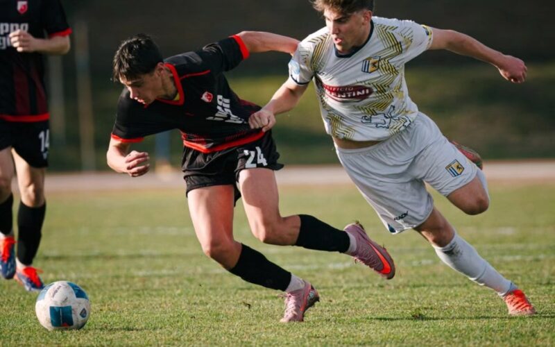 San Donato - Tavarnelle